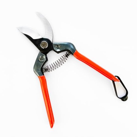 Wazakura Professionele Bypass Snoeischaar 195mm – Made In Japan, Voor Takken Tot 20mm
