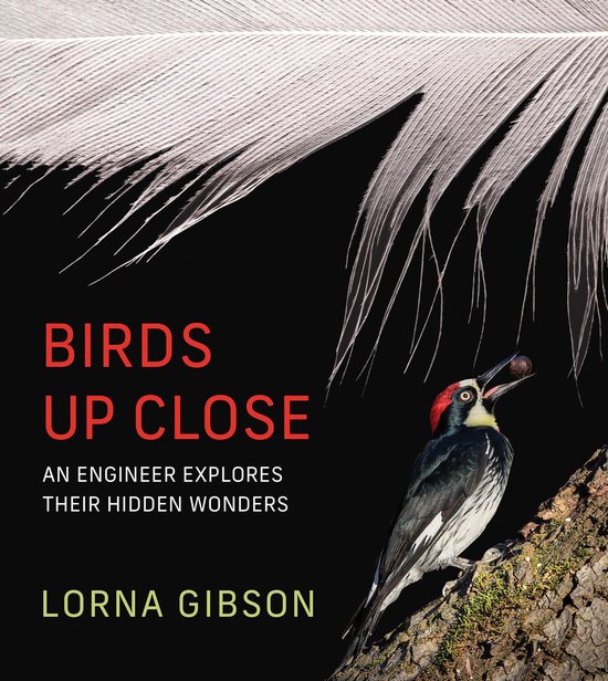 Birds Up Close - cover
