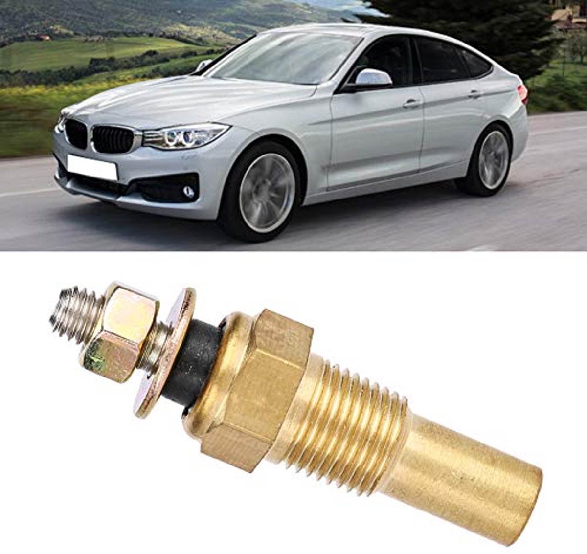 Elektrische Temperatuursensor - 1/8 NPT - Temperatuurbereik 0-150Â°C