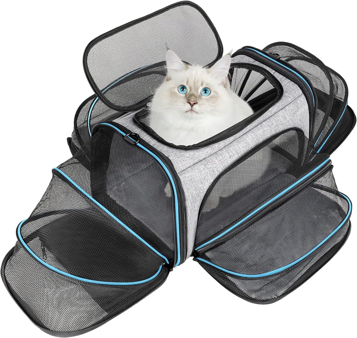 Transporttas voor katten, kleine honden, opvouwbare draagtas, transportbox voor vliegtuig, auto, reizen