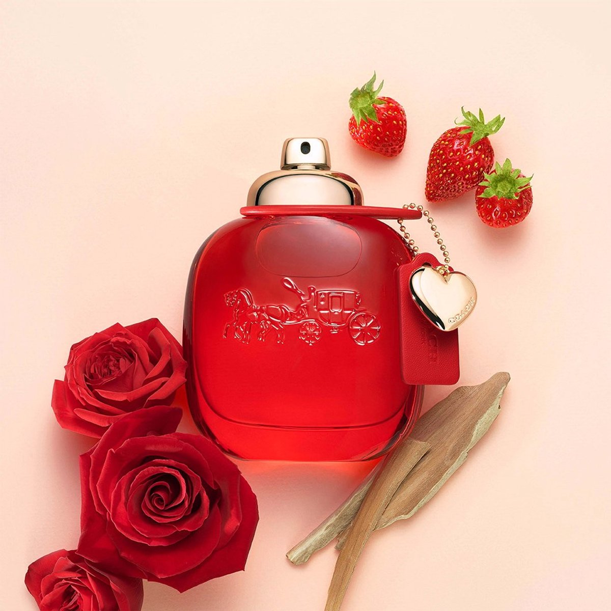 Coach Love Eau de parfum spray 50 ml - Damesparfum