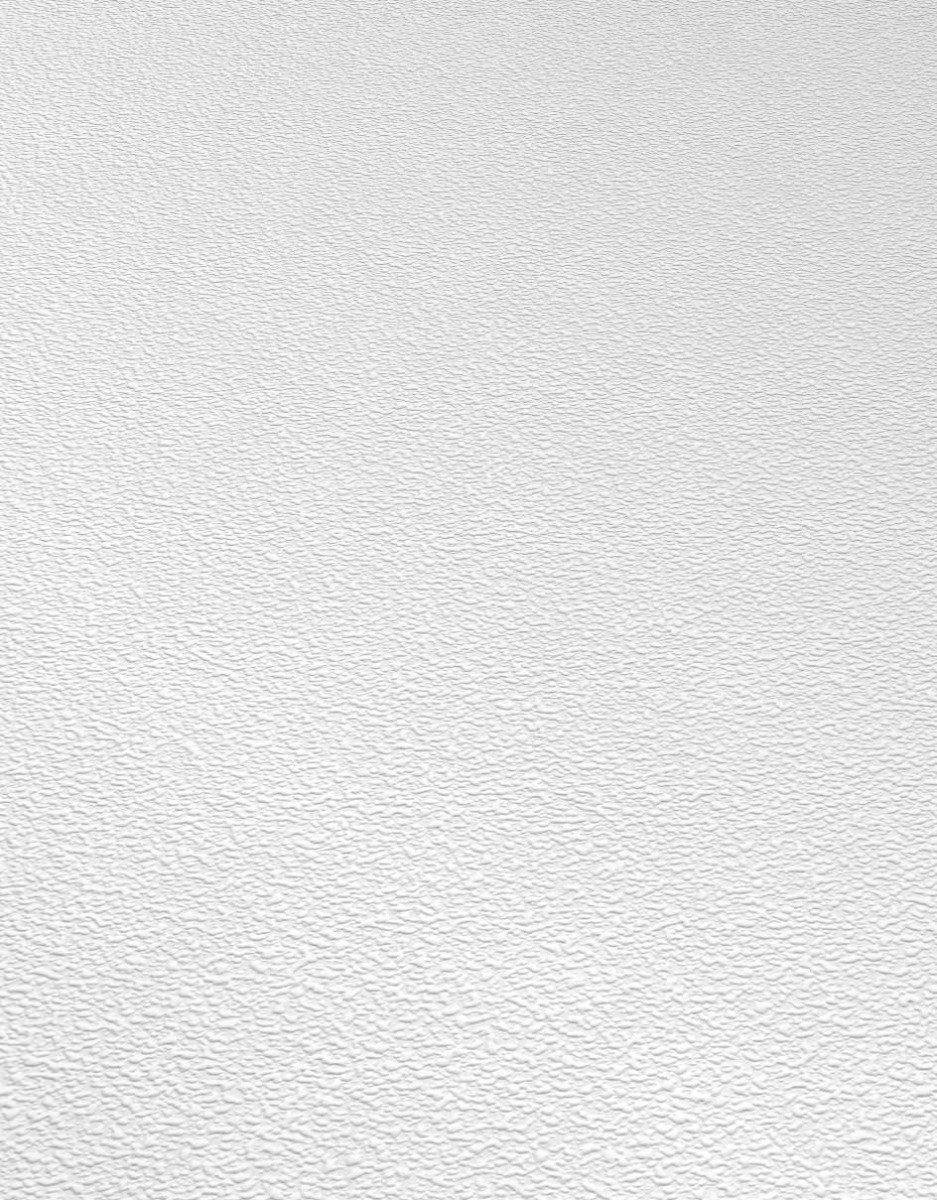 Erismann Vinylbehang 535910 - RollOver27 - Overschilderbaar Wit - 53cm x 10.05m