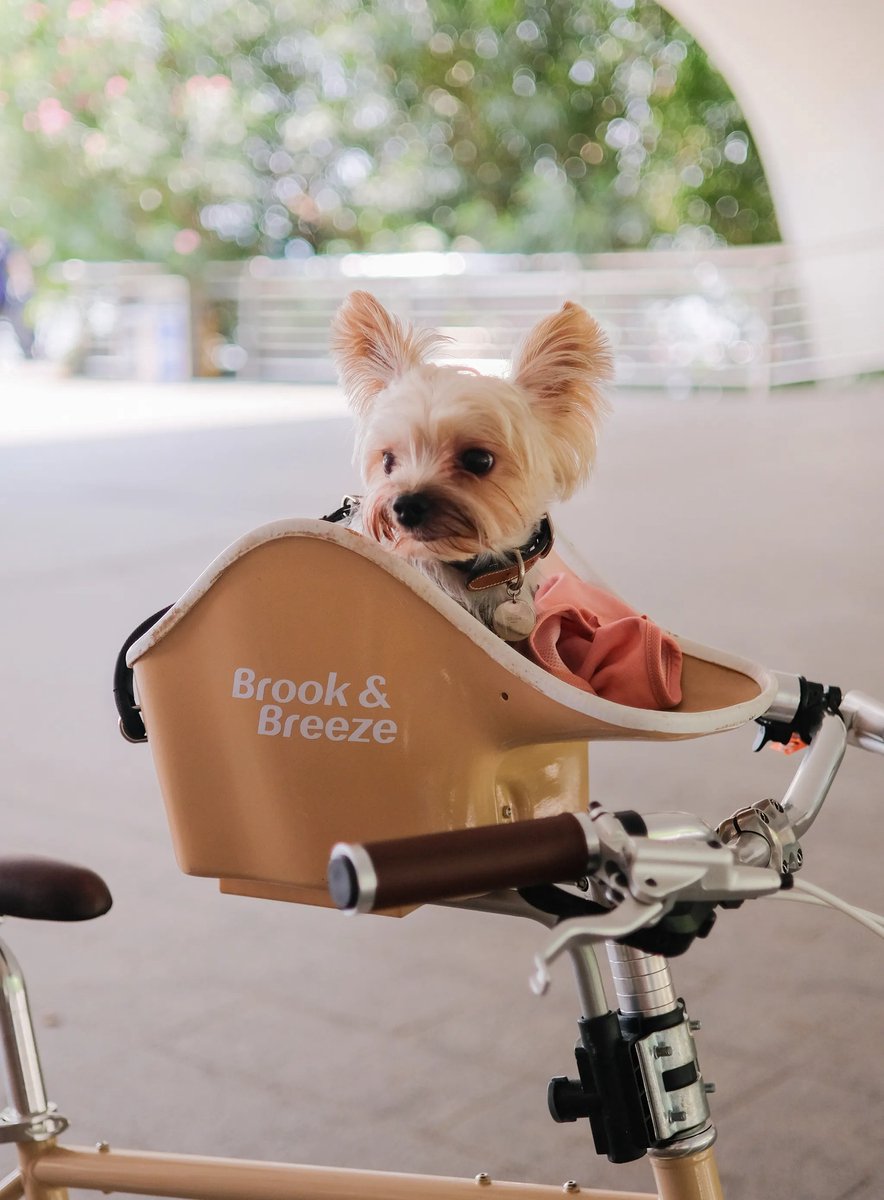 pukupuku です）Canine Copilot TM ベージュ Canine Copilot – Brook