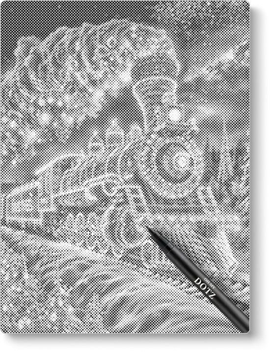 Express polaire | Peinture en pointillé | 30x40cm | Peinture par points | Oh mon Dieu | Points points | Peinture au Diamond et Peinture par numéro alternative | Saint-Nicolas | Noël