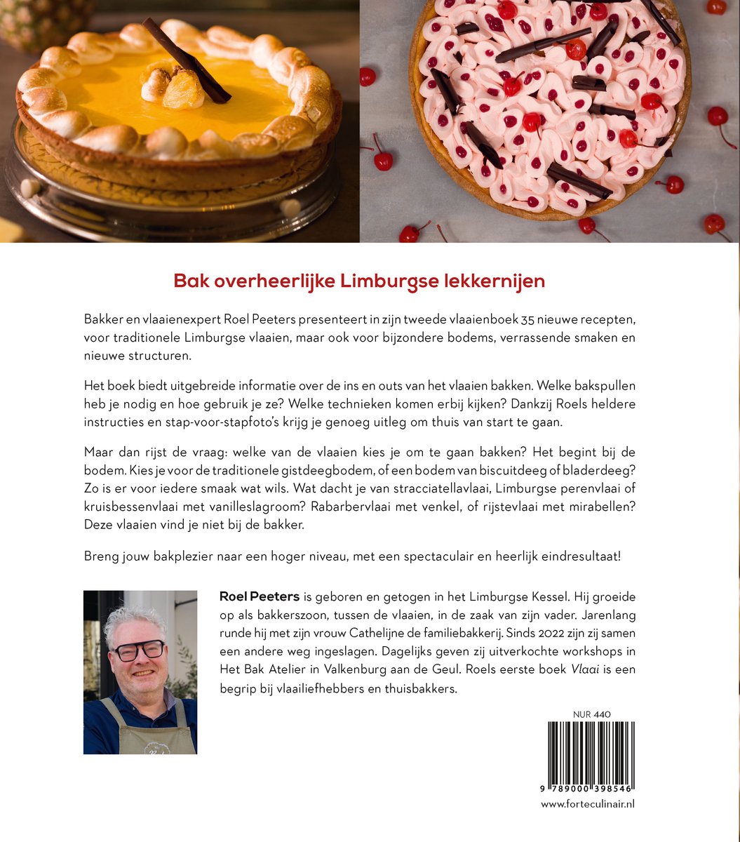 Vlaaien - back cover