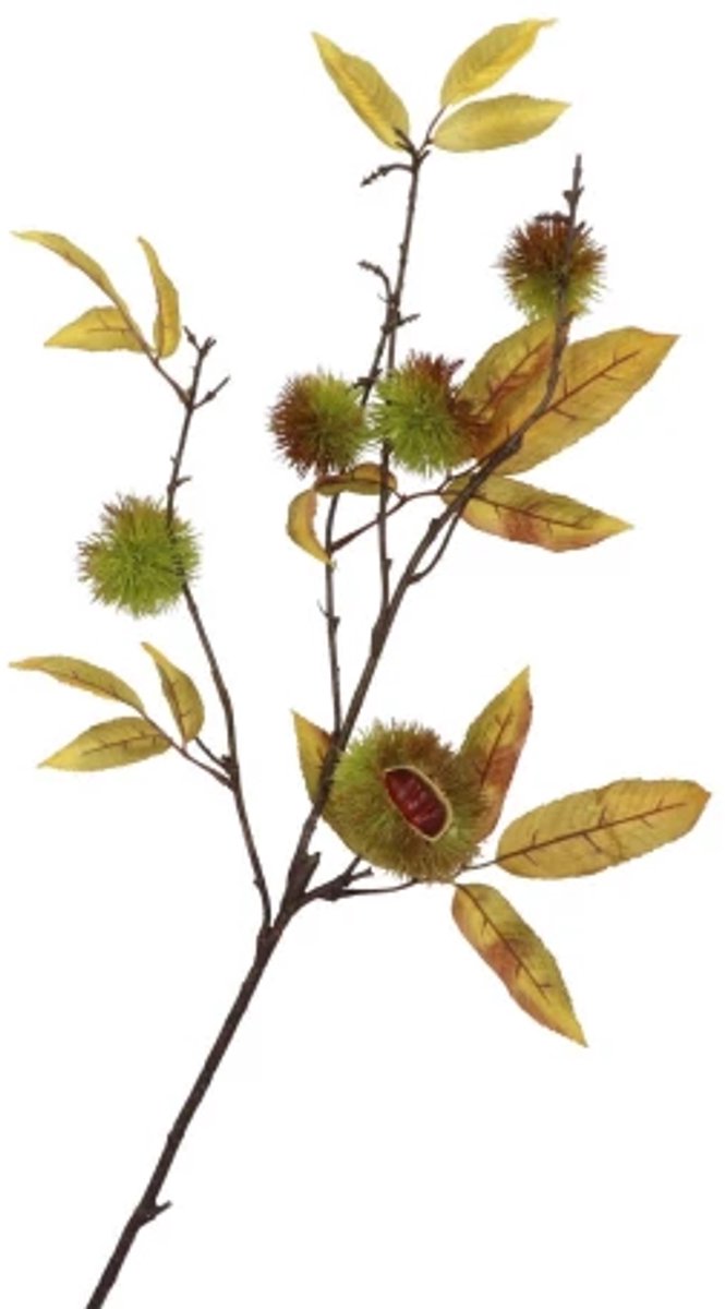 Daan Kromhoud - Kunsttak - Kastanje - Chestnut - 97cm