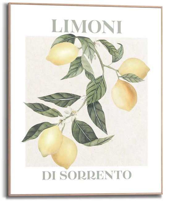 Tableau Limoni 50x40 cm