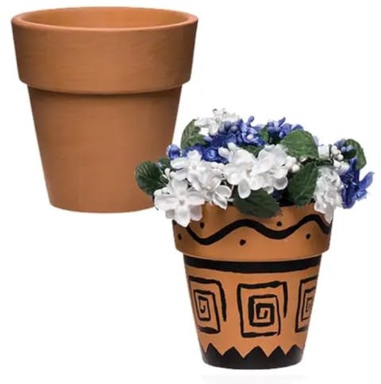 Beuken-haagspecialist - 🌱🌿 Tijd om te Planten: Haagliguster 🏡🌸 Wanneer