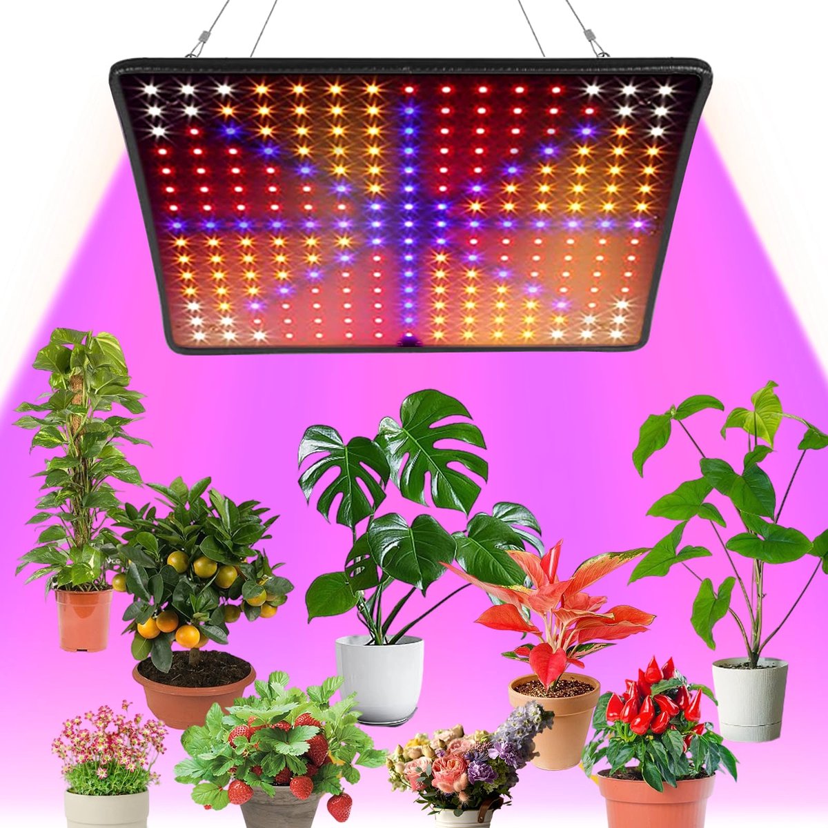 Unyqoos® Volledig spectrum LED-kweeklamp voor binnentuinen en hydrocultuur