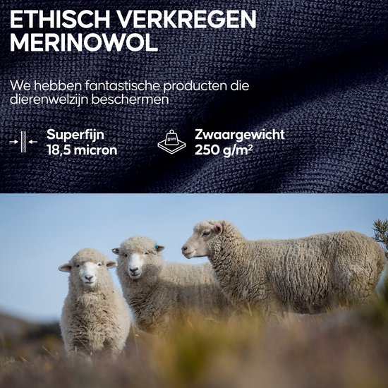 DANISH ENDURANCE Thermoset voor Dames - van Merino Wol - Ademend - Zwart - Maat M — afbeelding 5
