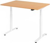 XLR 12W | 120 x 80 | Bureau réglable en hauteur électriquement - Hêtre 120x80 Hauteur de table I réglable en hauteur électriquement