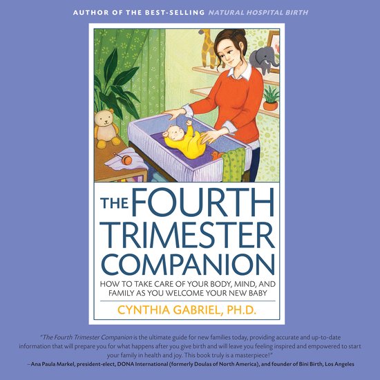 The Fourth Trimester Companion - cover