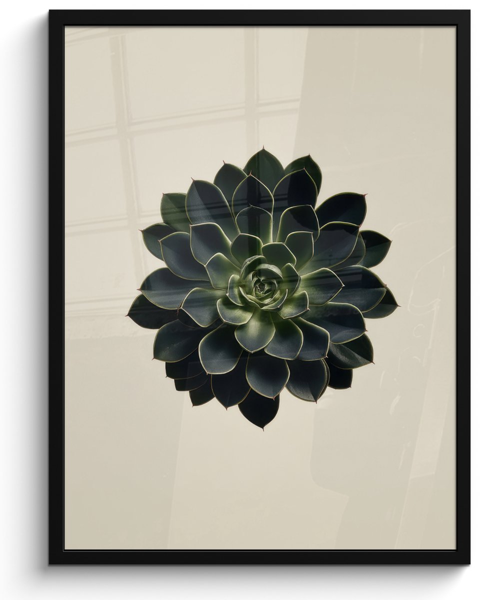 FrameYourWall Poster in lijst - Fotolijst 60x80 cm - Posters - Rozet - Cirkelvormig - Donkergroen - Posterlijst zwart - Decoratie - Wanddecoratie woonkamer - Muurdecoratie slaapkamer