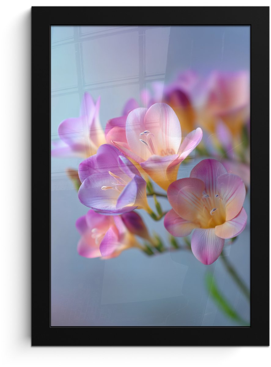 FrameYourWall Poster in lijst - Fotolijst 20x30 cm - Posters - Bloemen - Paars - Overloop - Meeldraden - Posterlijst zwart - Decoratie - Wanddecoratie woonkamer - Muurdecoratie slaapkamer Bloemen - Overloop