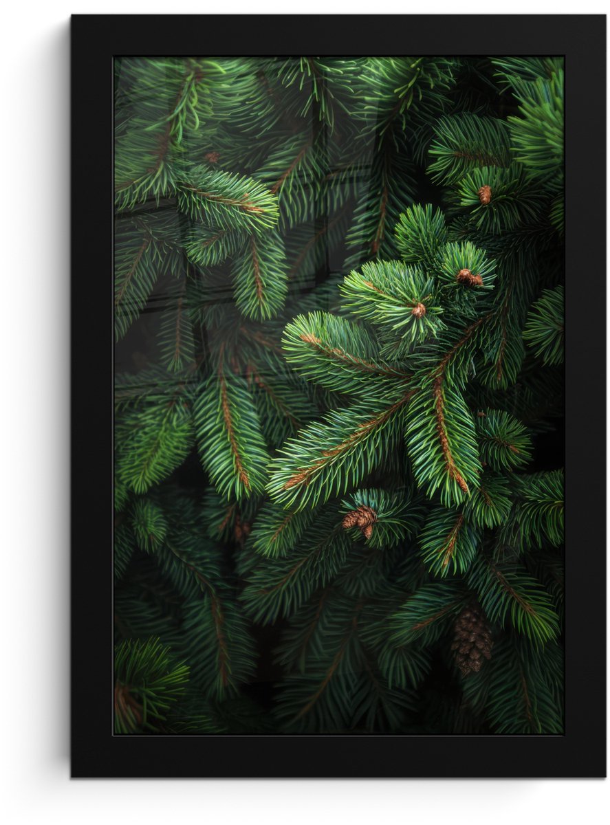 FrameYourWall Poster in lijst - Fotolijst 20x30 cm - Posters - Sparrentakken - Knoppen - Naalden - Groen - Posterlijst zwart - Decoratie - Wanddecoratie woonkamer - Muurdecoratie slaapkamer