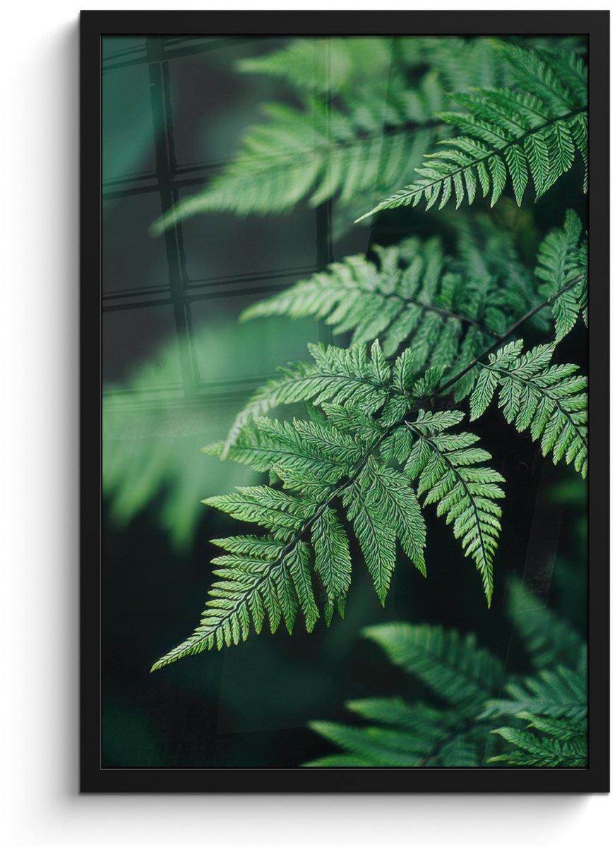 FrameYourWall Poster in lijst - Fotolijst 40x60 cm - Posters - Varenblad - Groen - Structuur - Wazig - Posterlijst zwart - Decoratie - Wanddecoratie woonkamer - Muurdecoratie slaapkamer