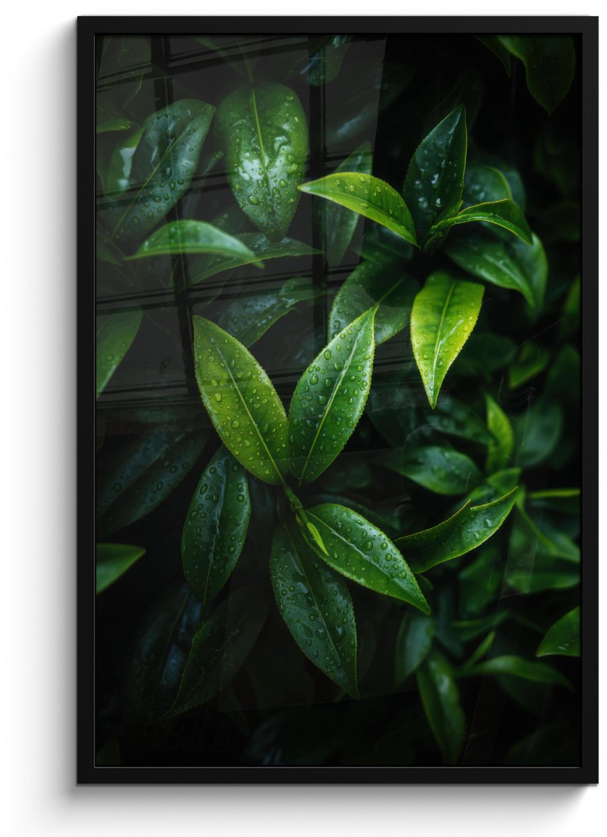FrameYourWall Poster in lijst - Fotolijst 60x90 cm - Posters - Bladeren - Regendruppels - Licht - Groen - Posterlijst zwart - Decoratie - Wanddecoratie woonkamer - Muurdecoratie slaapkamer