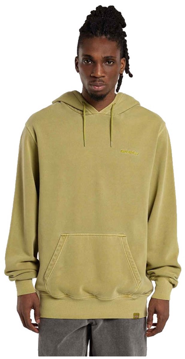 Dickies Plentywood Hoodie L Man Evergreen Sprig