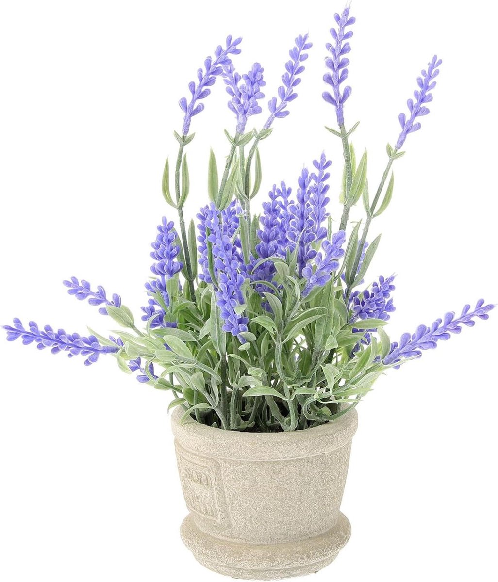 Allecto plus - Lavendelbloem in pot voor huis en tuin - Kunstbloemen in rustieke inrichting - Levensechte sfeerdecoratie - Badkamer en keuken accessoires met gedroogde bladeren.