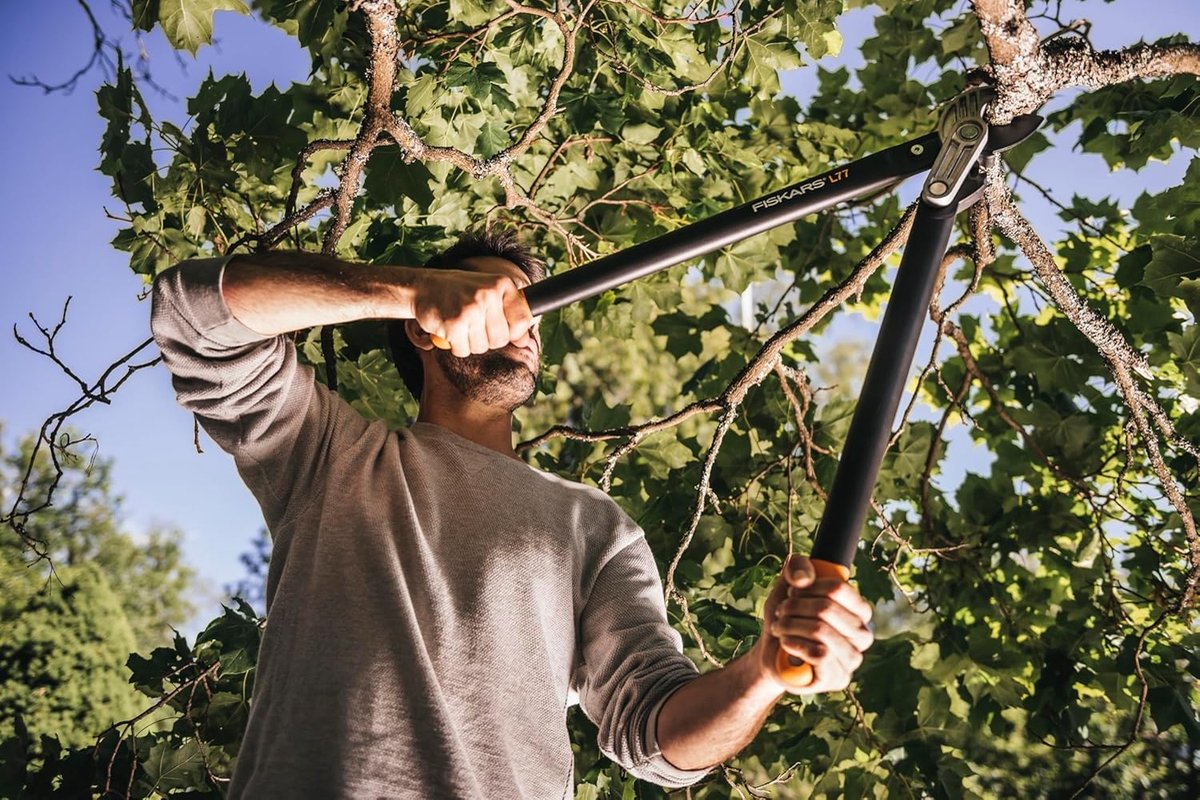 Fiskars PowerGear L77 69cm Coupe-branches