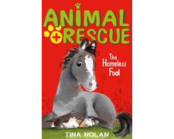 The Homeless Foal
