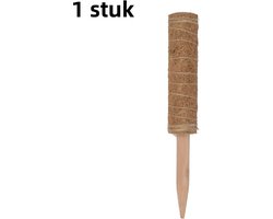 Foto: 