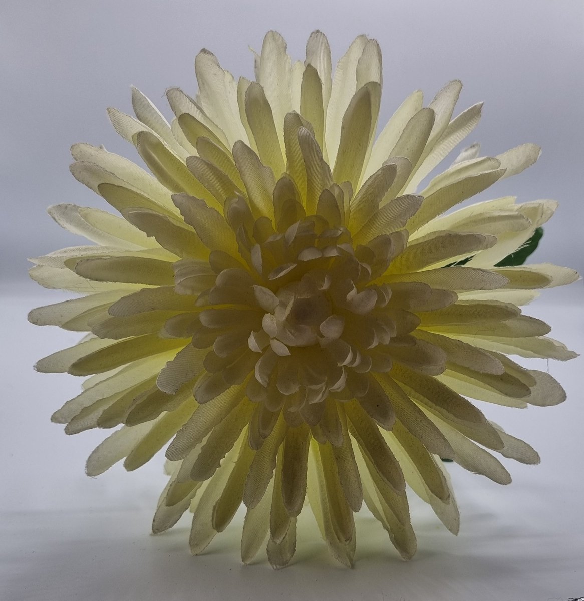 Bomm Bol Chrysant (Spin) - P14/04 - 65 cm - Off White - 1 bloem - 1 tak - Grafdecoratie - Zijdenbloemen - Kunstbloemen