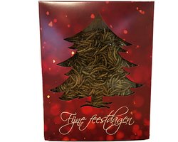 Kerst Doosje met Meelwormen voor Reptielen Het Kerstkado