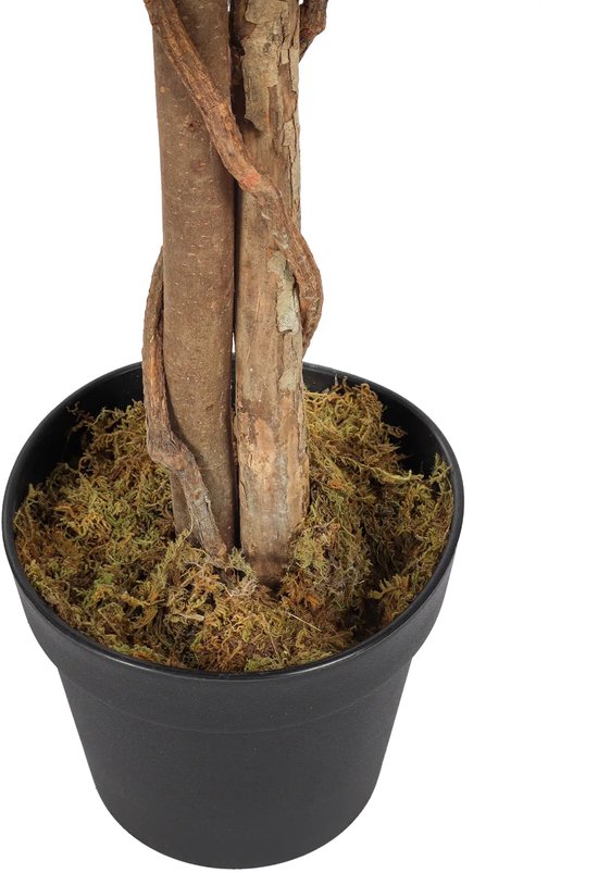 Gros plan de la base d'un arbre de glycine artificiel avec un tronc torsadé et de la mousse verte dans un pot noir.