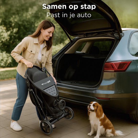 Doggyride Original - Groen / Grijs - Honden Wandelkar Stroller – Kids & Mobility