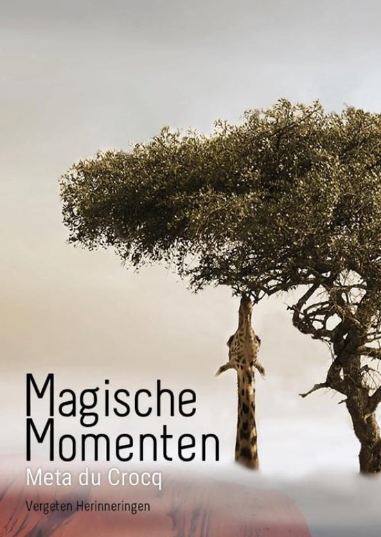 Vergeten Herinneringen 2 - Magische momenten - cover