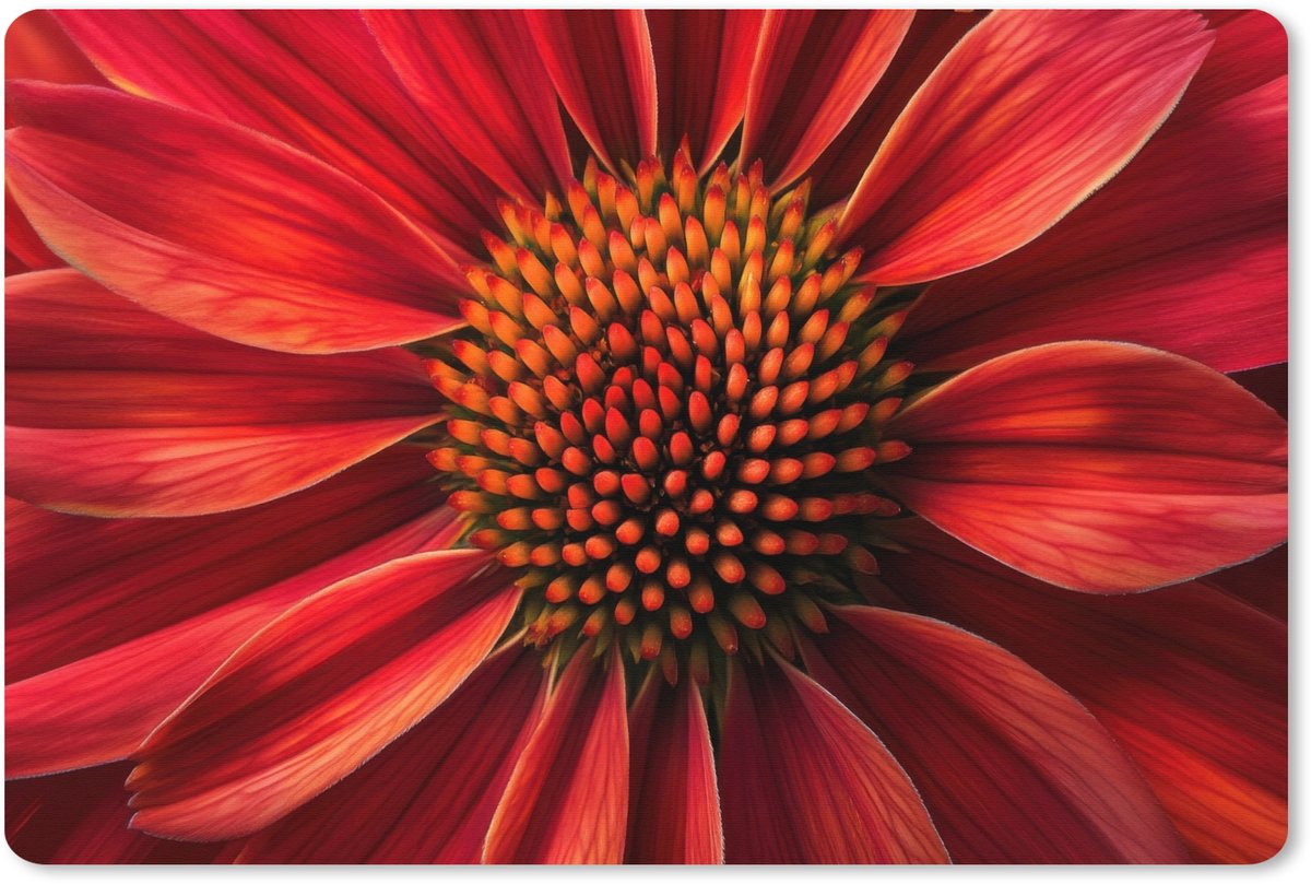 Muismat XXL 120x80 cm - Bureau onderlegger - Bureau mat Close up - Bloem- Rood - Bureaumat - Gaming mousepad xl - Bureaulegger groot - Computer deskmat