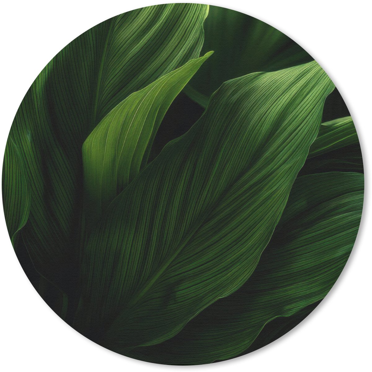 Muismat rond 30x30 cm - Mousepad Bladeren - Schaduw - Groen - Textuur - Ronde muismatten