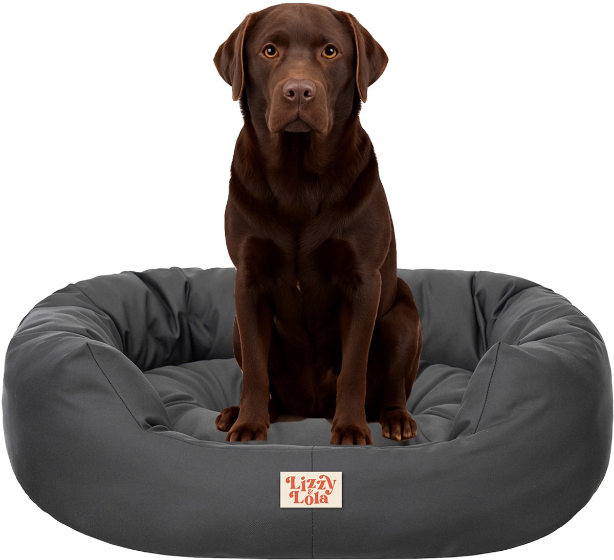 Lizzy & Lola - Amazy Hondenmand XL - Met uitneembaar kussen – Hondenbed - Waterdicht & Ergonomisch – 100 x 70 cm - Antraciet