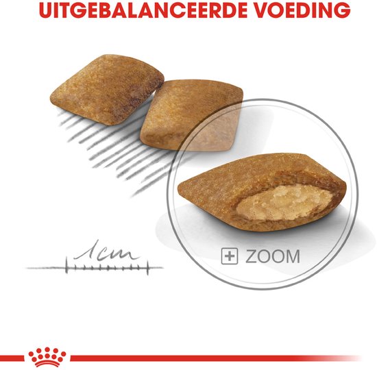 Drie stukken hondenbrokken, waarvan één is opengesneden om de vulling te tonen.