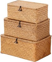 Decorasian Mand Opslag Gevlochten van Waterhyacint - Zeegras Rechthoekig - Vierkante Plankmand - S = 24 cm Natuurlijk Decorasian Mand Opslag Gevlochten van Waterhyacint - Zeegras Rechthoekig - Vierkante Plankmand - S = 24 cm Natuurlijk