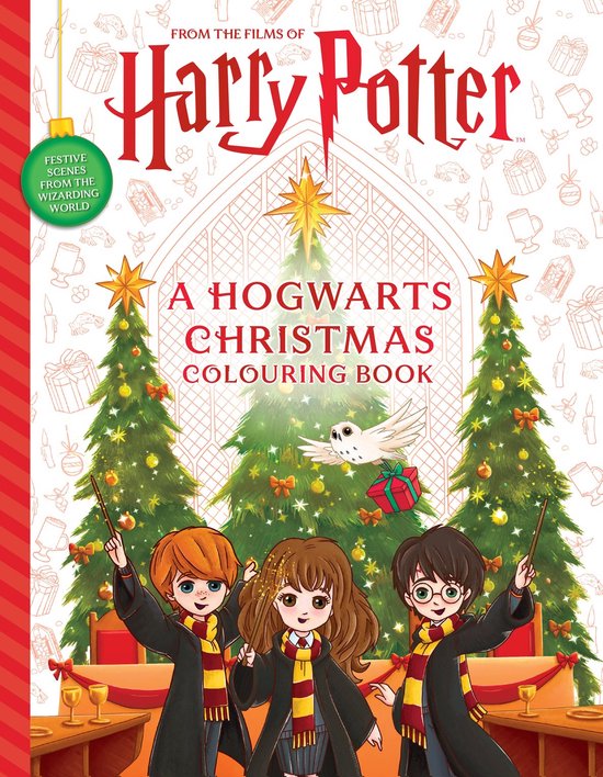 Harry Potter- A Hogwarts Christmas Colouring Book