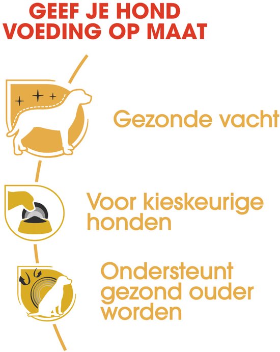 Diagram met de voordelen van maatwerk voeding voor honden: gezonde vacht, kieskeurige eters en gezonde veroudering.