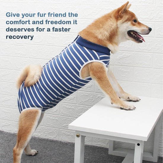Bruine hond in een blauw gestreept herstelpak, leunend op een witte tafel.