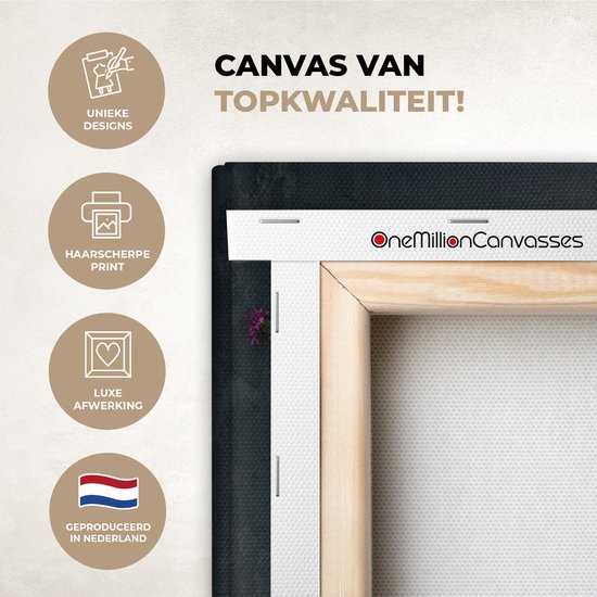 Peinture sur Toile Couleurs - Pivoine - Nature Morte - 40x30 cm - Déco Décoration murale