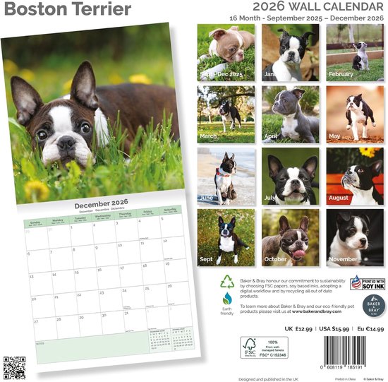 Élevage de cairn terrier : caractère, éducation et conseils