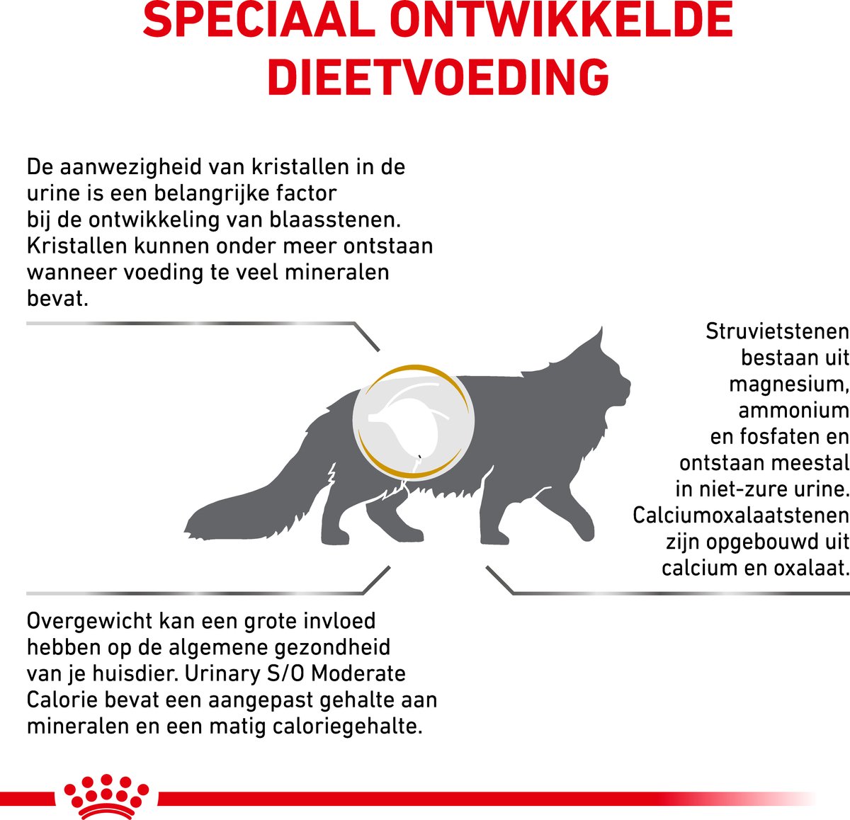 Royal Canin Urinary Moderate Calorie - Kat Droogvoer thumbnail 5
