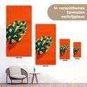 Afbeelding nummer  9