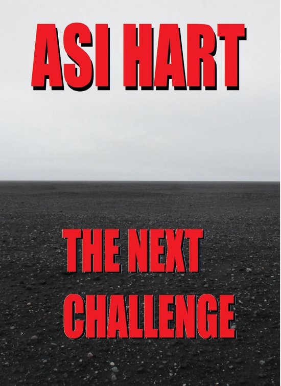 The Next Challenge - cover