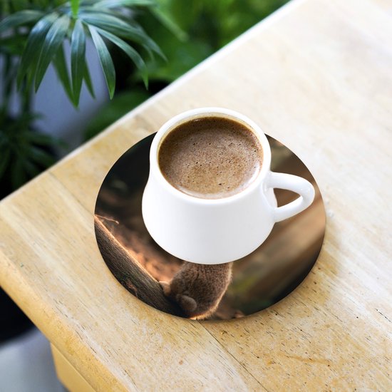 Sous-verres de verre ronds - Lapin - Forêt - Rayons de soleil - 10 x 10 cm - Lot de 6