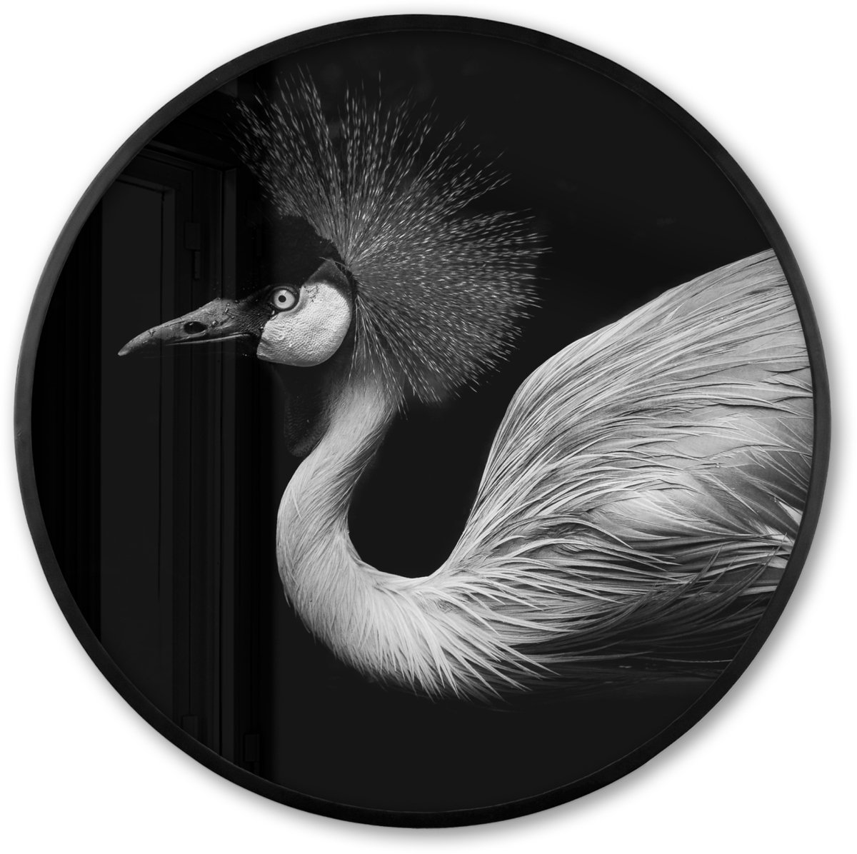FrameYourWall Poster in lijst Rond - Fotolijst 60x60 cm - Posters - Kraanvogel - Zwart - Wit - Vogel - Dieren - Ronde posterlijst zwart - Decoratie - Wanddecoratie woonkamer - Muurdecoratie slaapkamer