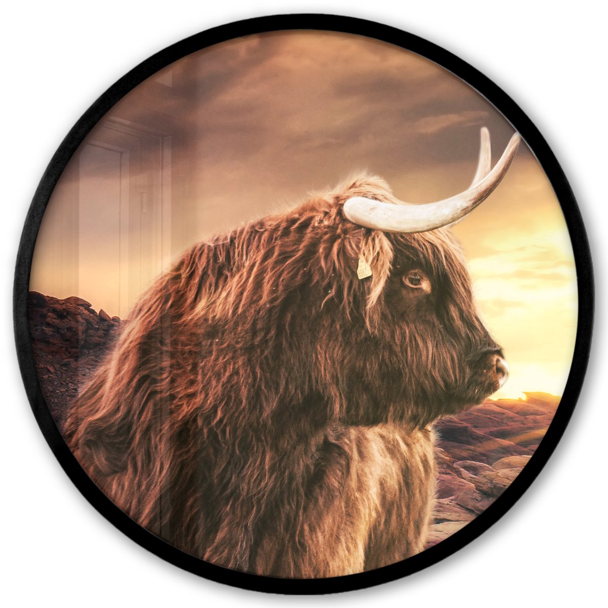 FrameYourWall Poster in lijst Rond - Fotolijst 40x40 cm - Posters - Schotse hooglander - Zon - Horizon - Koe - Dieren - Ronde posterlijst zwart - Decoratie - Wanddecoratie woonkamer - Muurdecoratie slaapkamer Schotse Hooglander - Zonsopkomst