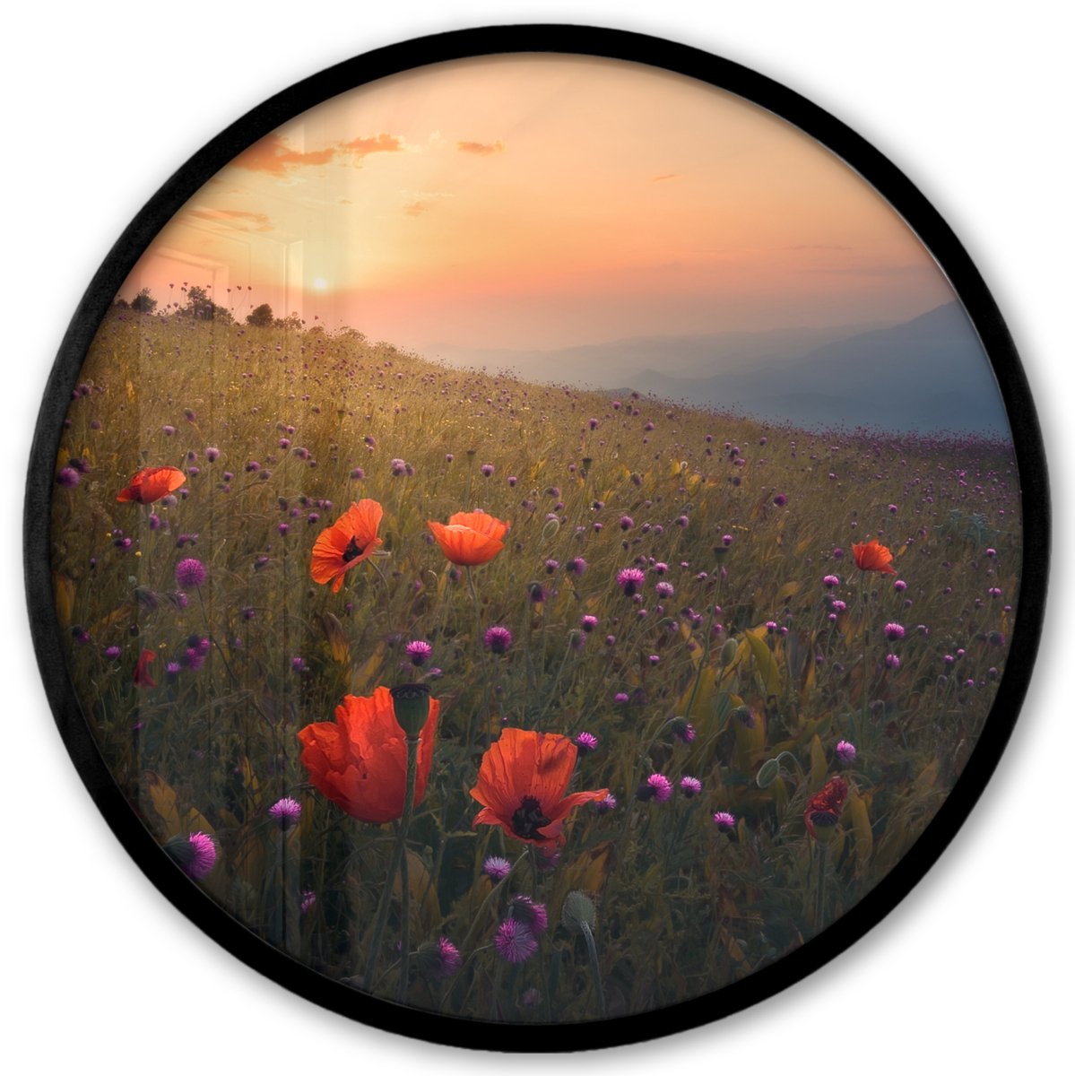 FrameYourWall Poster in lijst Rond - Fotolijst 40x40 cm - Posters - Bloemenveld - Gras - Bloemen - Planten - Zonsondergang - Oranje - Ronde posterlijst zwart - Decoratie - Wanddecoratie woonkamer - Muurdecoratie slaapkamer Multicolor