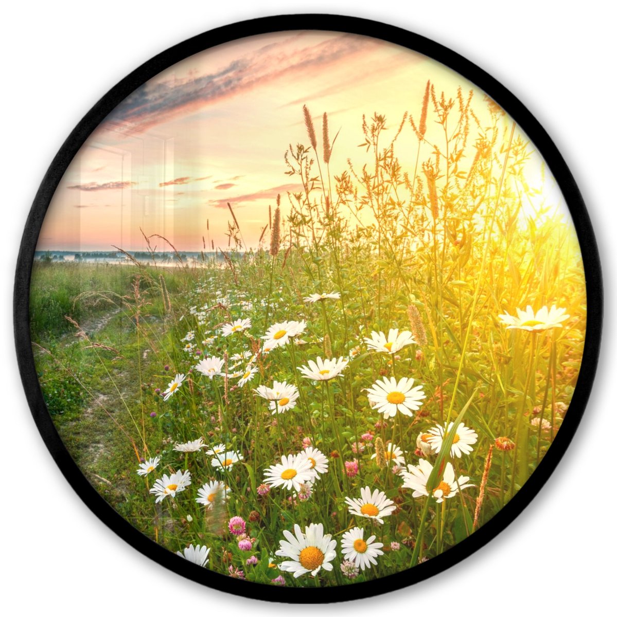 FrameYourWall Poster in lijst Rond - Fotolijst 40x40 cm - Posters - Bloemen - Madelief - Natuur - Zon - Horizon - Ronde posterlijst zwart - Decoratie - Wanddecoratie woonkamer - Muurdecoratie slaapkamer