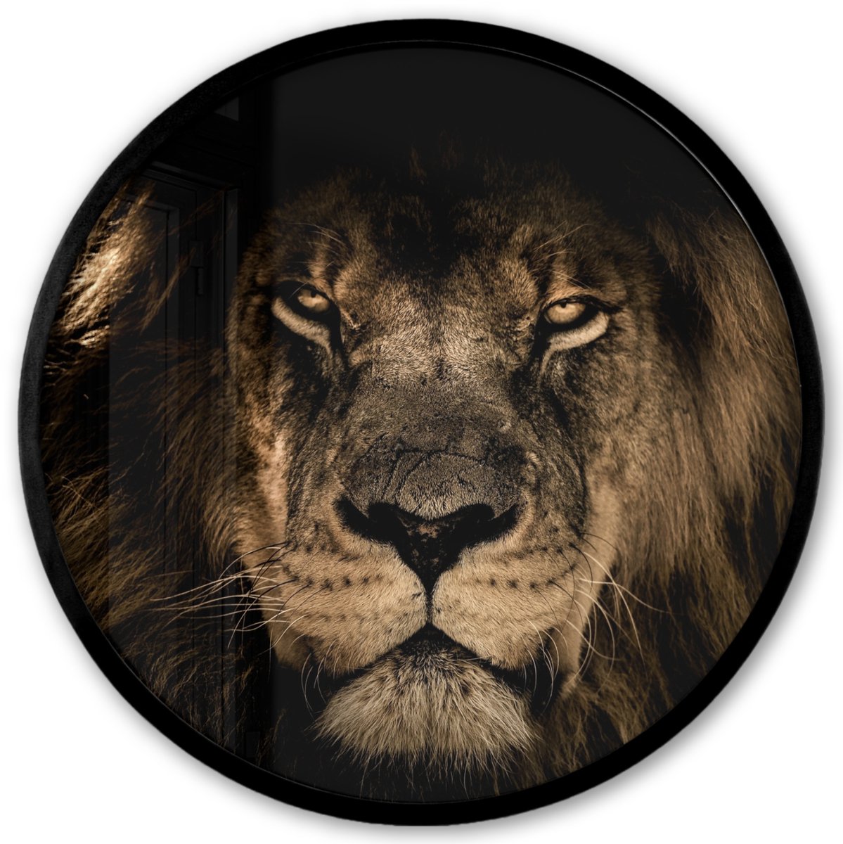 FrameYourWall Poster in lijst Rond - Fotolijst 40x40 cm - Posters - Leeuw - Dieren - Zwart - Portret - Ronde posterlijst zwart - Decoratie - Wanddecoratie woonkamer - Muurdecoratie slaapkamer Leeuw - Portret - Zwart